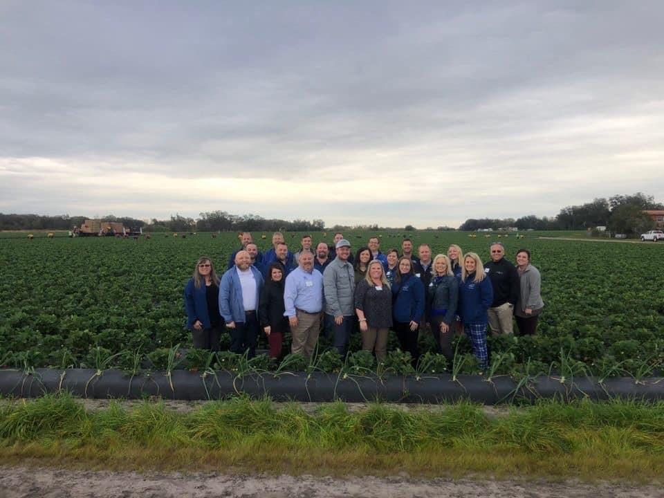 Group of people in strawberry field